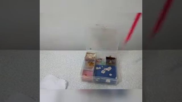 MINHAS SLIMES PEGARAM FUNGO смотреть онлайн