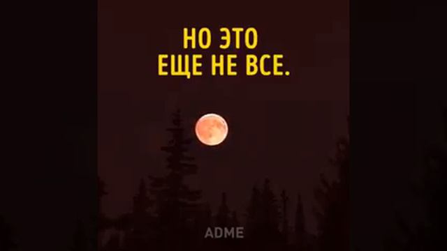 Рассказ про Луну и Марса! смотреть онлайн
