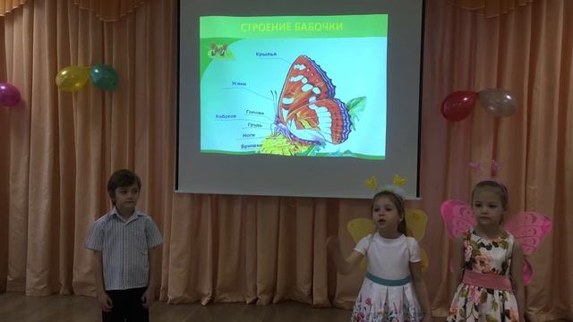 В науку Первые шаги, в мире бабочек смотреть онлайн