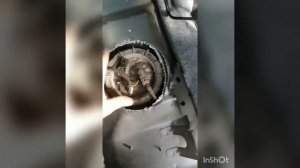 Люк для бензонасоса на форд мондео 4