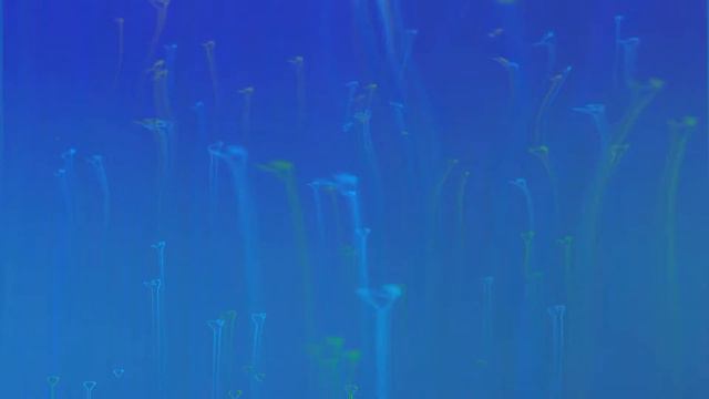 Песнь 6 Предписанные обязанности человечества 2 12 Славная смерть Вритрасуры смотреть онлайн