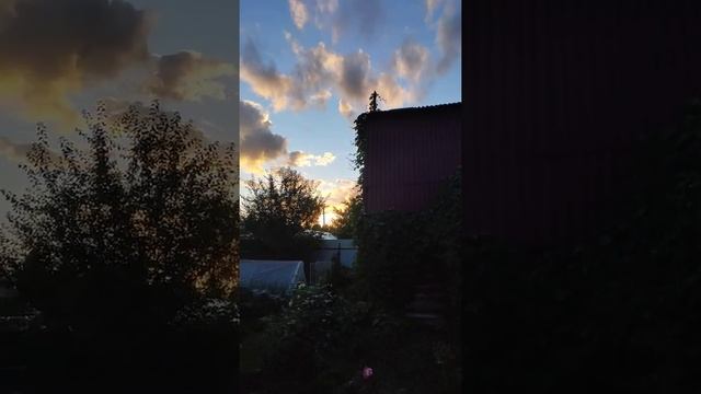 Дача 2019год смотреть онлайн