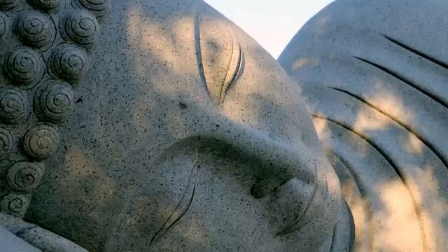 Buddha's Flute | Tranquil Flute смотреть онлайн