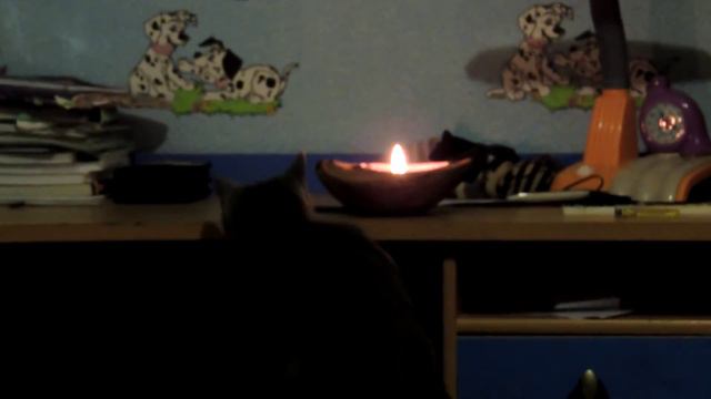 Кот пожарник. смотреть онлайн