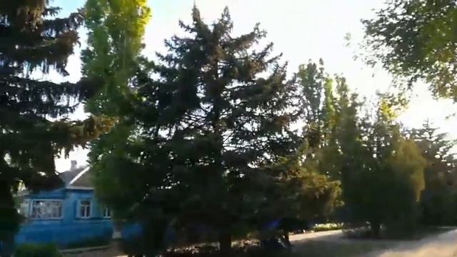 Как у нас в селе Шабельское цветёт каштан. 20.05.2021г смотреть онлайн