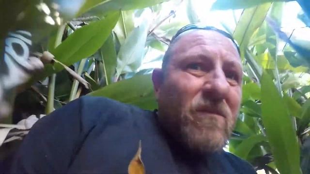 CARPET PYTHON IN TUGAN смотреть онлайн