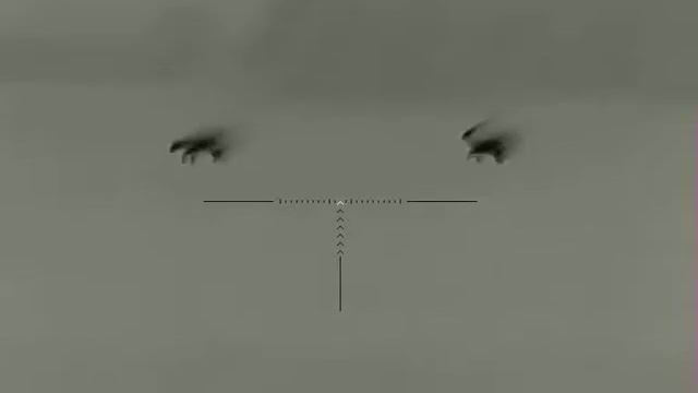 iray saim sct35 Косули. смотреть онлайн