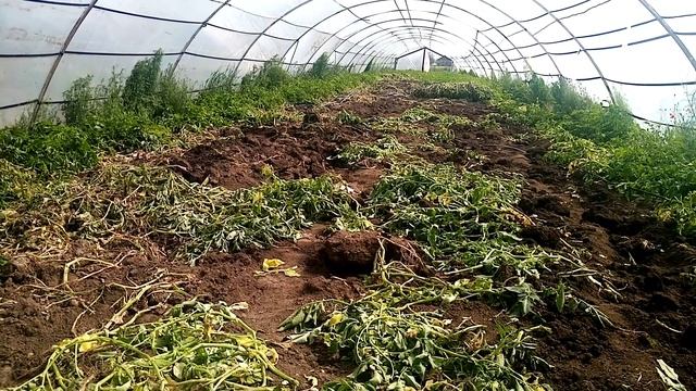 Ціни на ринку Великі Копані. 4 травня. смотреть онлайн