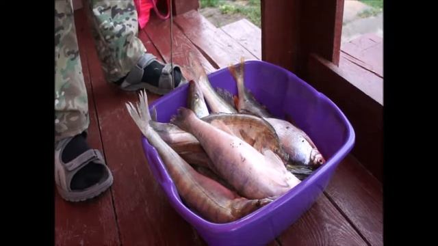 Рыбалка в низовье Волги, Кировский,Караульное. смотреть онлайн
