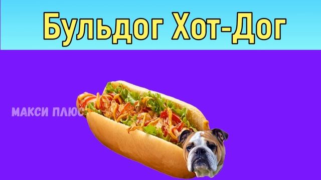 Белка Грелка, Снеговик Пуховик, Бульдог Хот-Дог, Хомячок Бурячок. смотреть онлайн