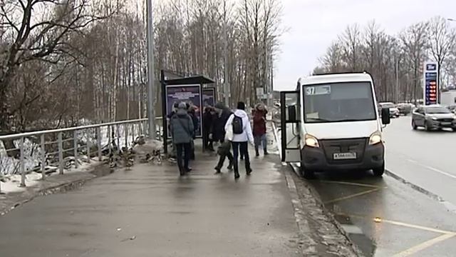 Городские утки перебираются на открытую воду смотреть онлайн