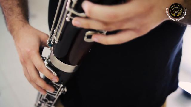 Fagot • Música en familia | Filarmónica de Santa Cruz смотреть онлайн