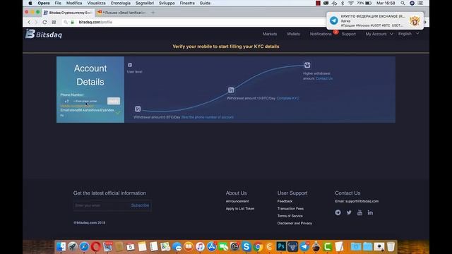Электронная информация "Bitsdaq" - 4 часть. смотреть онлайн