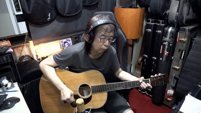 Martin D 222 100th Anniversary Guitar смотреть онлайн