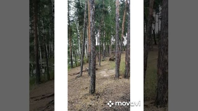 Озеро Изьяры смотреть онлайн