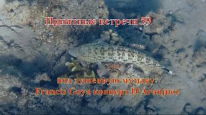 Приятные встречи 59 Ящероголов Фаулера под душевную музыку Francis Goya Concierto D' Aranjuez