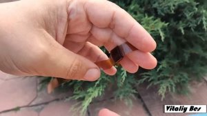 Хомут из пластиковой бутылки