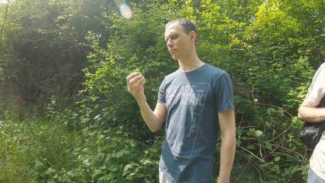 Сьел Волчью Ягоду . Старинная крепость Годлик и окресности. смотреть онлайн