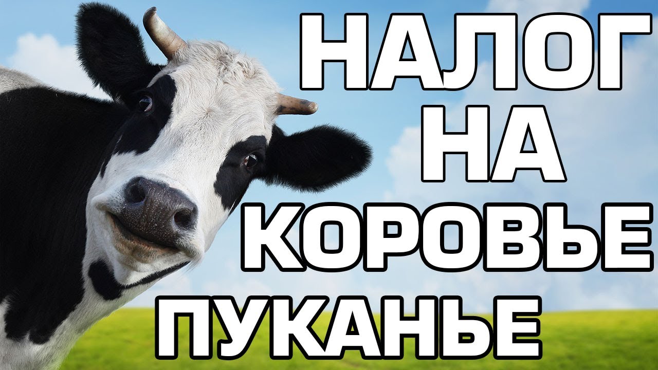 ? 10 Самых упоротых налогов в мире. смотреть онлайн