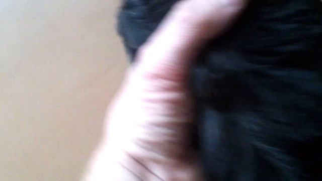 Нельсон хочет играть у мама 13.07.15 смотреть онлайн