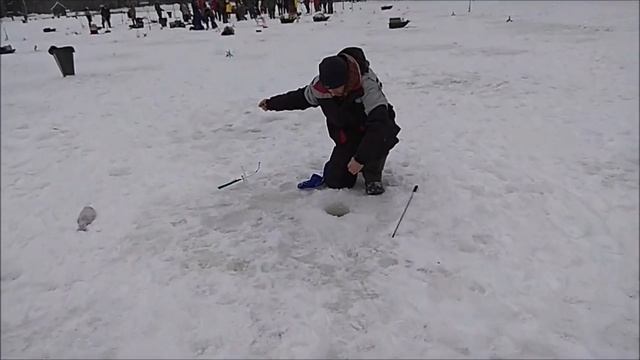 Крупная форель продолжает радовать рыбаков своими поклёвками. Клёвое место, Лосиный остров. смотреть онлайн