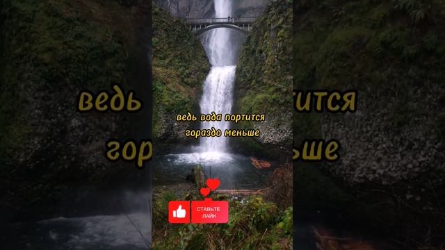 Про нерешительность. Задумайтесь?Цитаты, статусы, мысли, мудрость, хорошие стихи. #цитаты #жизнь смотреть онлайн