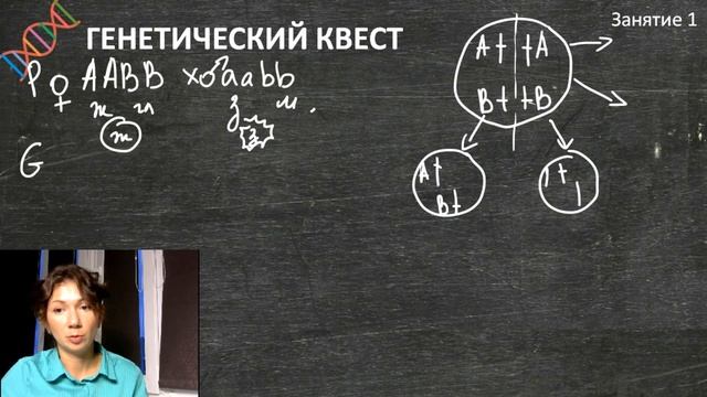 Занятие 1 | Моногибридное и дигибридное скрещивание смотреть онлайн