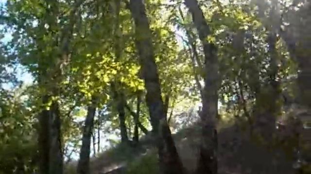 Raw Food Roger Haeske And I Take A Hike