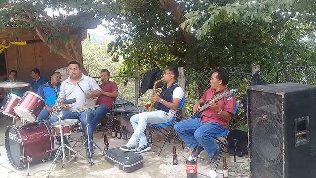 Orquesta musical sureña de eloy sanchez смотреть онлайн