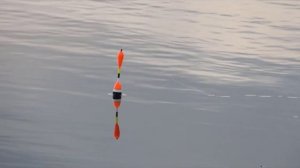 Рыбалка на Сыдинском заливе Красноярского водохранилища