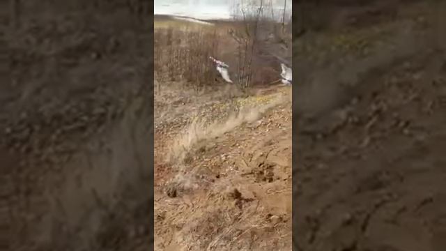 Там за быстрой рекой, дом построим мы свой. смотреть онлайн