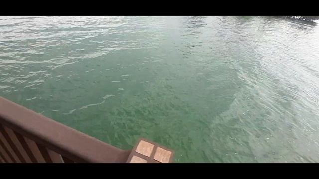 PULAU BURUNG PORT DICKSON | BIRDS ISLAND PORT DICKSON | PANTAI CAHAYA NEGERI | AKTIVITI MEMANCING смотреть онлайн