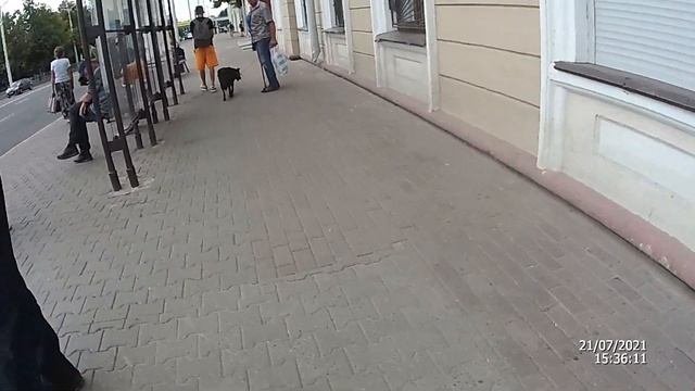 Семья наедушников. Вова о связях в милиции смотреть онлайн