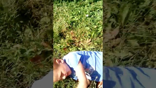 смешное видео брат победил старшую сестру ??????? смотреть онлайн