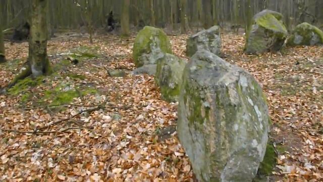 Langdysse i Grønholt Hegn смотреть онлайн