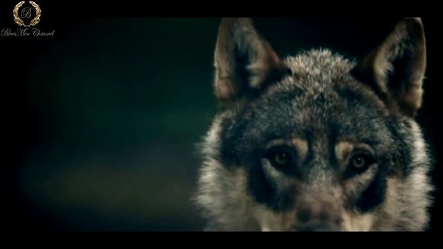 Black Top - Out On The Town - (BluesMen Channel  Blues Rock Super Hits).