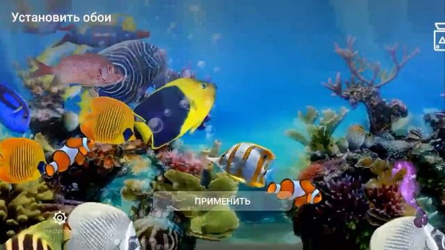 Аквариум с рыбками для спокойствия и умиротворения