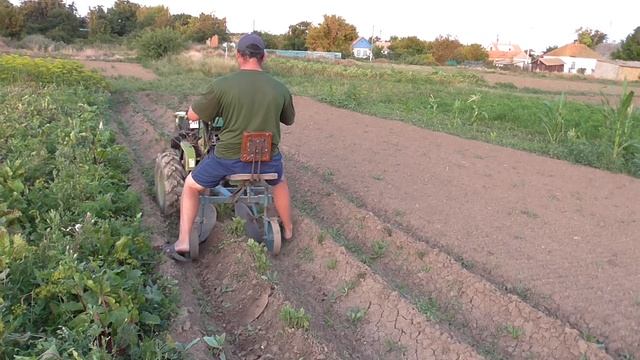 Окучивание и подкормка картофеля 2019 смотреть онлайн