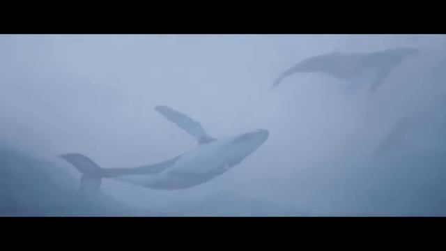 на небе только разговоры что о море смотреть онлайн