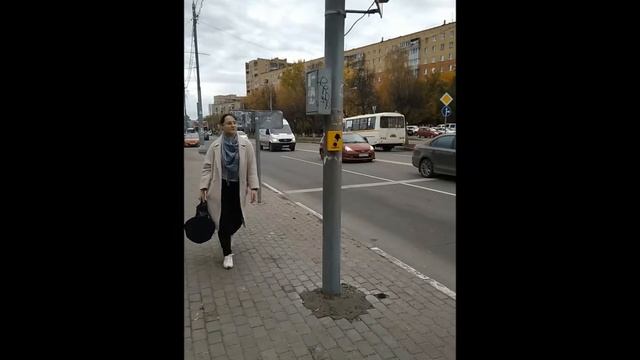ПДД для гироскутеров смотреть онлайн