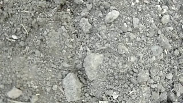 Лучшее средство от муравьев - ДУСТ ! смотреть онлайн