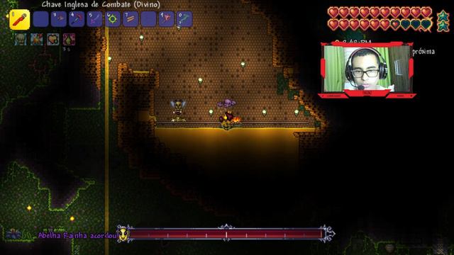TERRARIA COMO MATAR A QUEEN BEE SET MELEE (FÍSICO) | MASTER MODE 1.4 | (MOBILE E PC) FÁCILMENTE ! смотреть онлайн