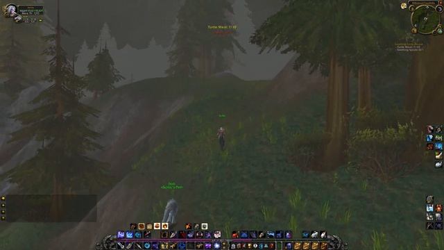 Soothing Turtle Bisque WoW Classic Quest