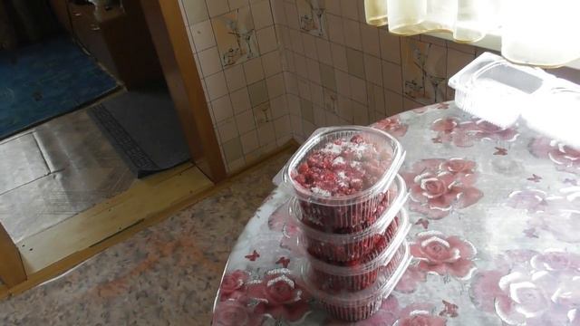 Иван Купало, а ВЫ СУХИЕ/Забиваем Морозилку/ХОЧЕШЬ ДЕНЕГ? ИДИ Работай/07.07.20 смотреть онлайн