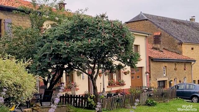 Hidden Gems in Belgium: unexpected unusual places you should explore besides Brussels смотреть онлайн