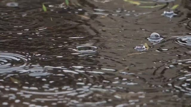 ?Музыка для отдыха и сна.? Медитация.? Шум дождя? смотреть онлайн