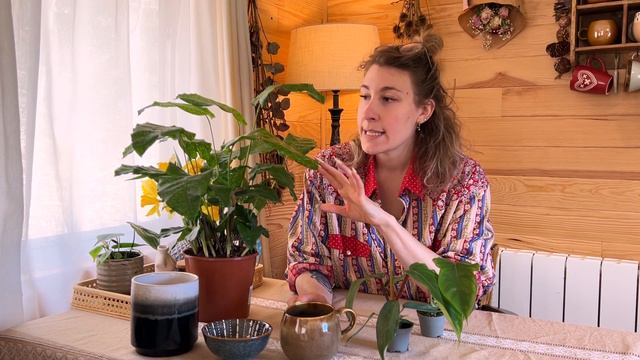 Vlog n°3 I Une journée à Bordeaux, brunch, balade en ville et shopping à Jardiland (Haul plantes) смотреть онлайн