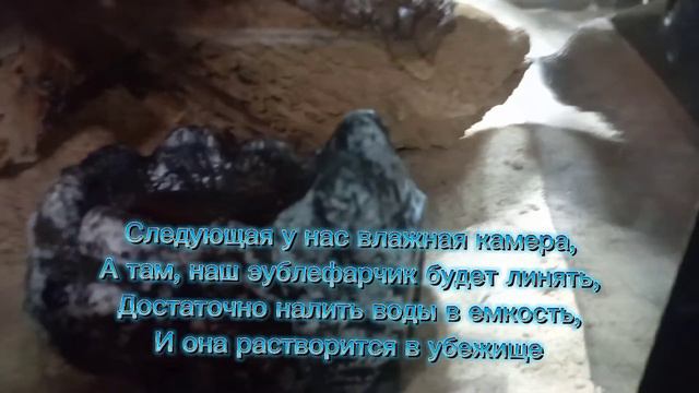 Составляющее террариума смотреть онлайн