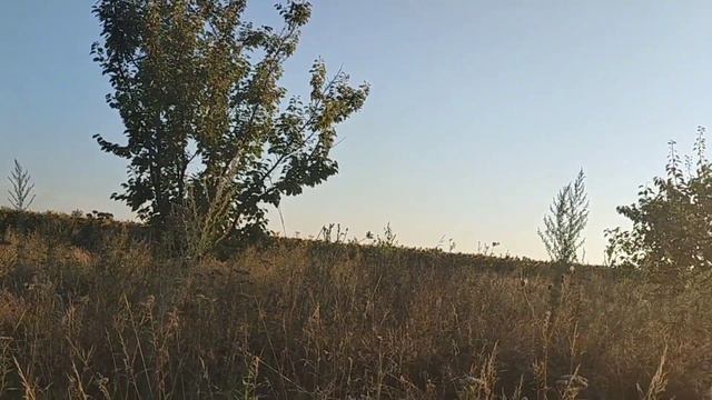 СОСТОЯНИЕ. В Каком Ты Сейчас состоянии? Вопрос, который приводит в изобилие вариантов смотреть онлайн