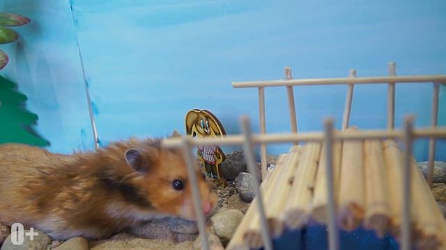 Сказка КОЛОБОК как хомяк в лесу ВСЕХ ОБХИТРИЛ! / МаусХаус смотреть онлайн